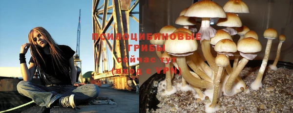 марки nbome Белокуриха
