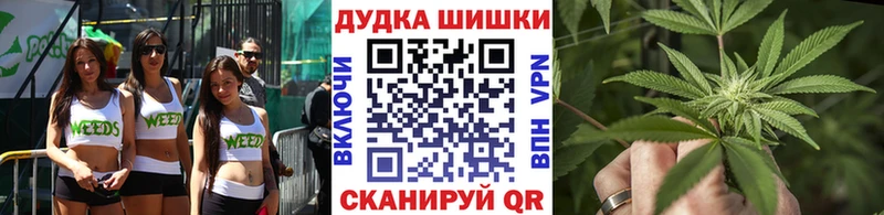 Конопля Bruce Banner  где продают   Химки 